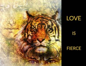 Fierce Tiger Head with words Love is Fierce